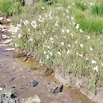 Σπίτι διακοπών La Canal Monastero di Lanzo