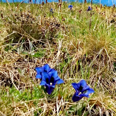 La Canal 度假居 *