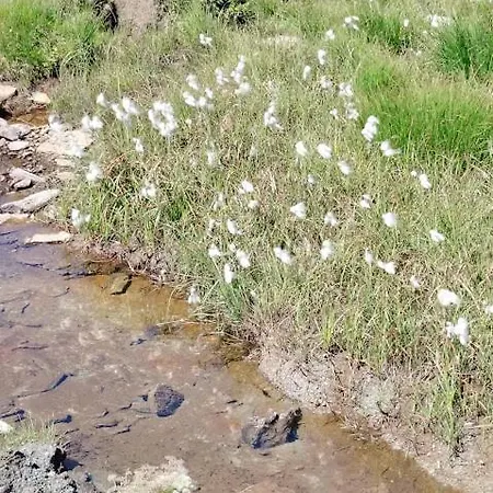 Casa de Férias La Canal Monastero di Lanzo